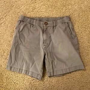Men’s Medium 7 Inch Inseam Chubbies Shorts